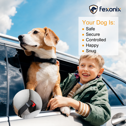 2-Pack Dog Car Seat Belt Leash – Safe & Adjustable Travel Tether 🐶